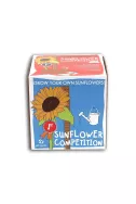 Sow And Grow - Sunflower Competition 